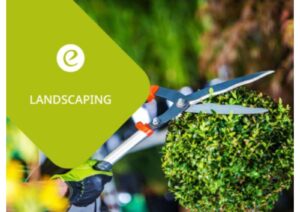 WhatsApp Image 2023-07-15 at 16.39.52